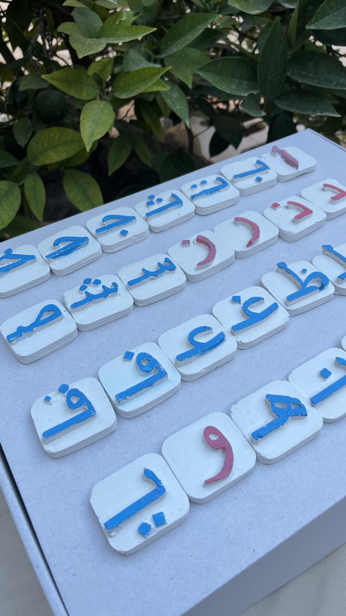 الفينو - الصورة 6